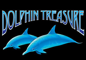 Dolphin Treasure Casino Slot Game